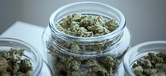 Cannabis-9