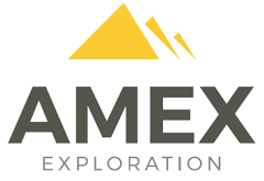 Amex Exploration - Eric Sprott Investment