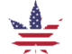 USA cannabis banner2