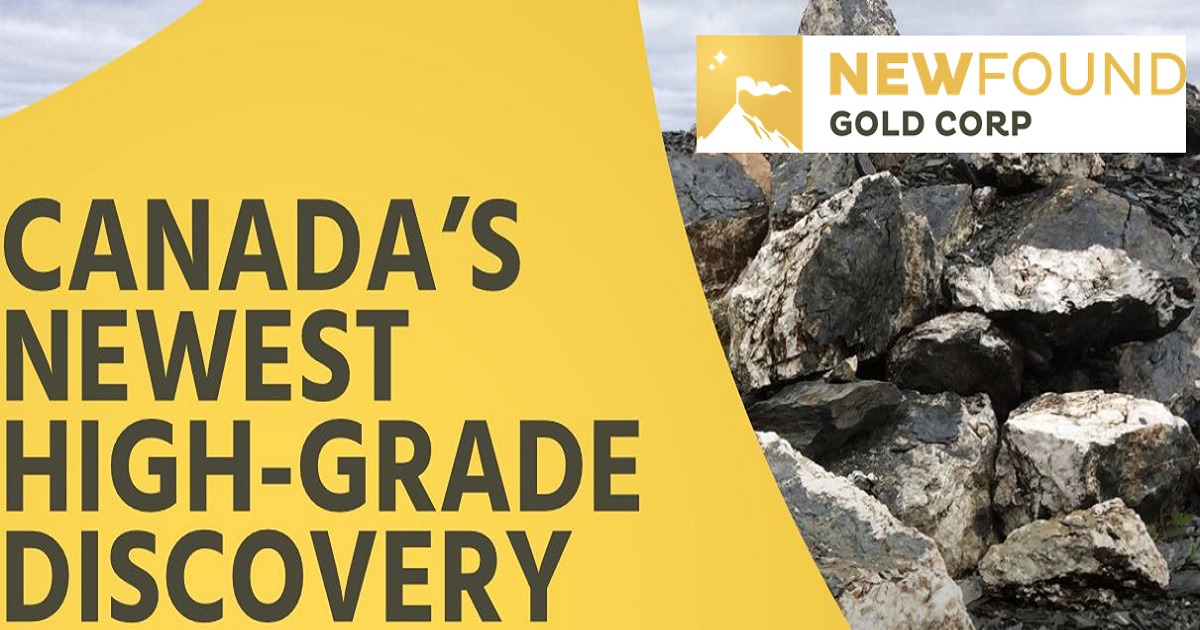 Homepage - New Found Gold Corp.