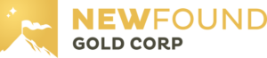 New Found Gold - logo