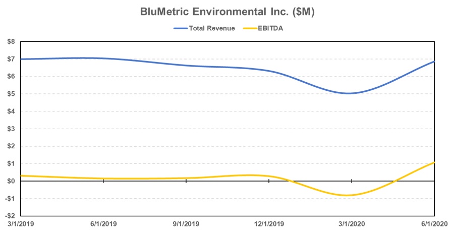 BluMetric - Revenue and Earnings