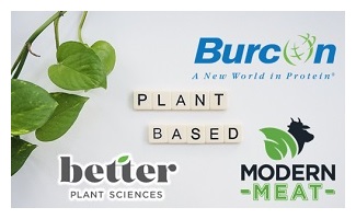 Plant based logos