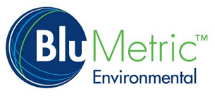 BlueMetric logo