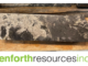Renforth Resources - RFR - Drill Core